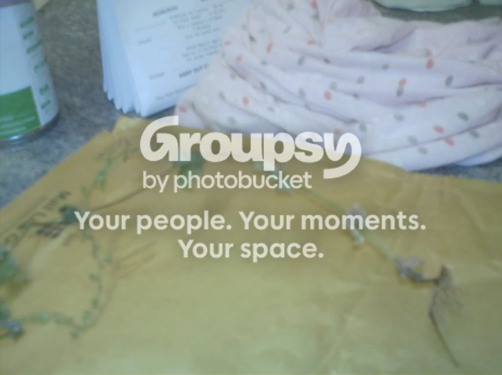 IMAG0044.jpg image by scribblers